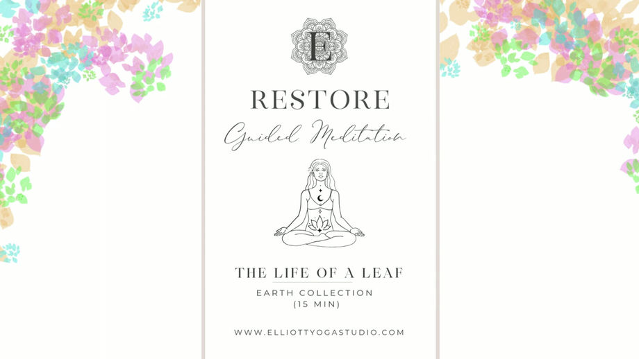 The life of a leaf Meditation